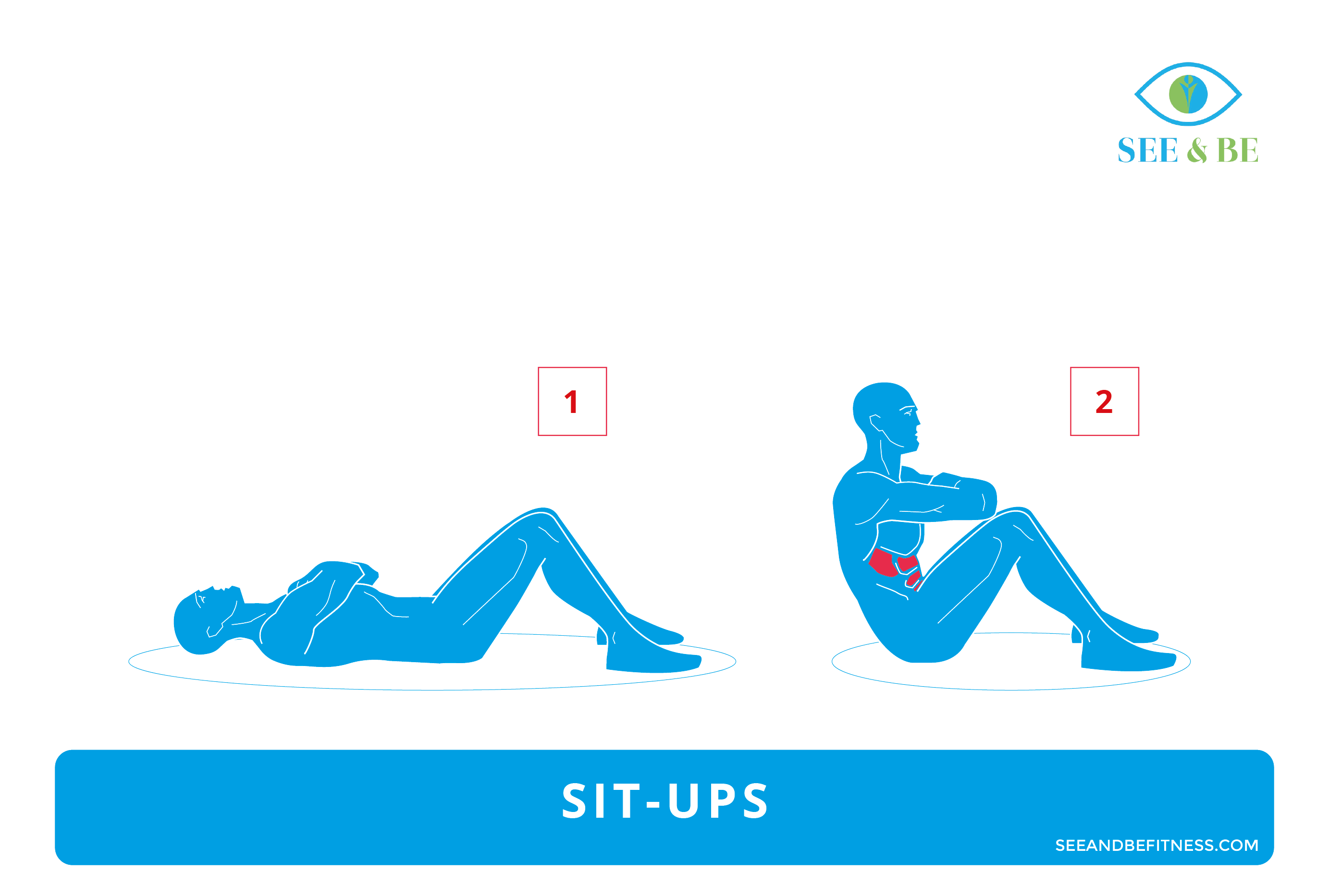 Exercise of the Day Sit Ups Steemit